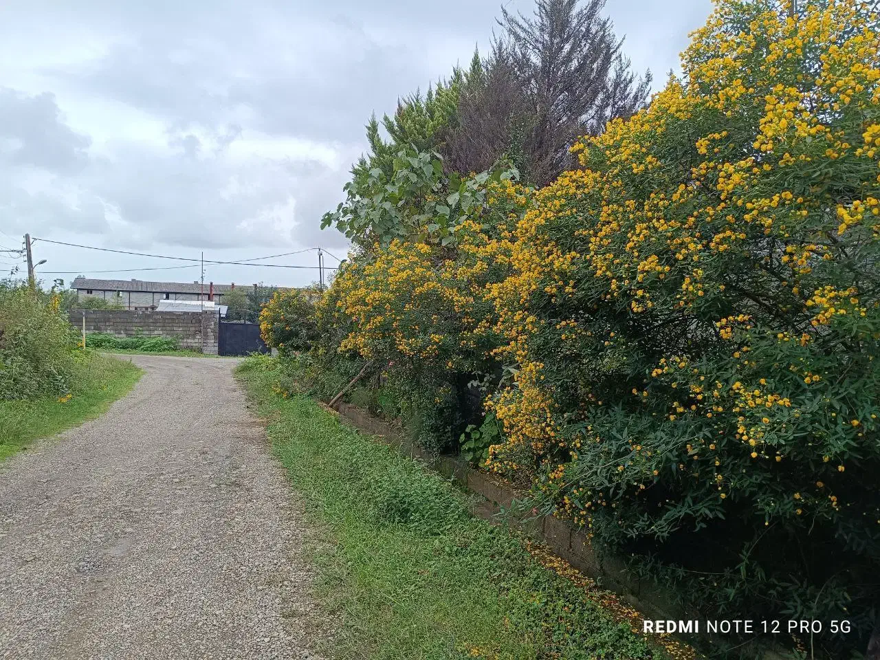 ویلای دو واحدی ۷۳۰ متر ۲۰۵ متر بنا|فروش خانه و ویلا|واجارگاه, |دیوار