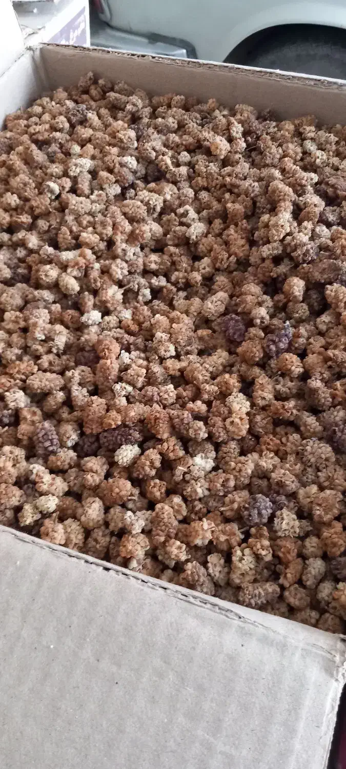 توت خشک امسال|خوردنی و آشامیدنی|تهران, گرگان|دیوار