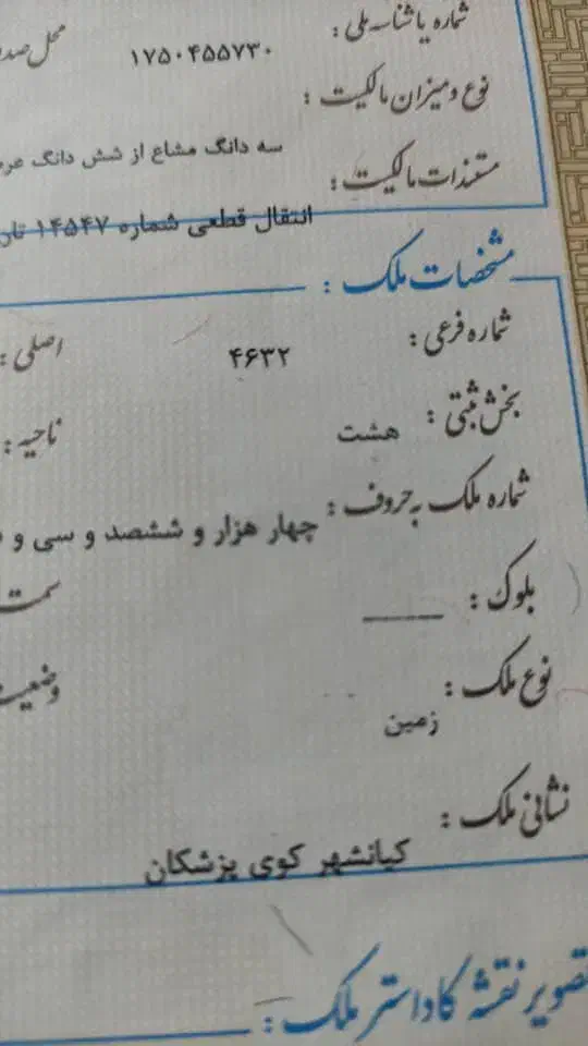 زمین|فروش زمین و ملک کلنگی|کیانشهر, |دیوار