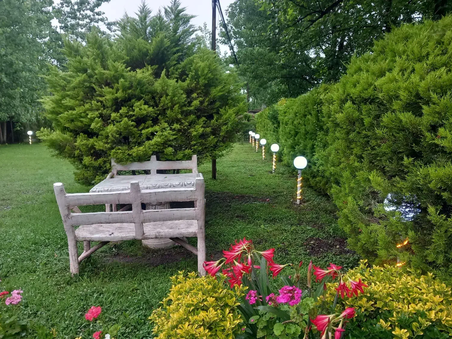 ویلا دردل جنگل|اجارهٔ کوتاه‌مدت ویلا و باغ|ماسال, |دیوار