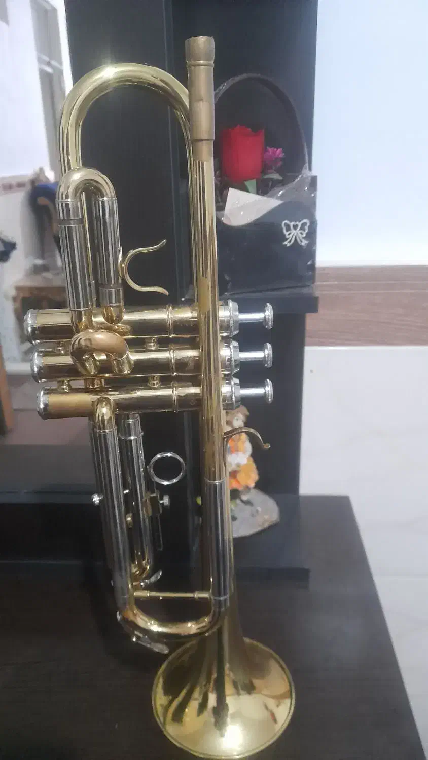 ترومپت|سازهای بادی|کوهین, |دیوار