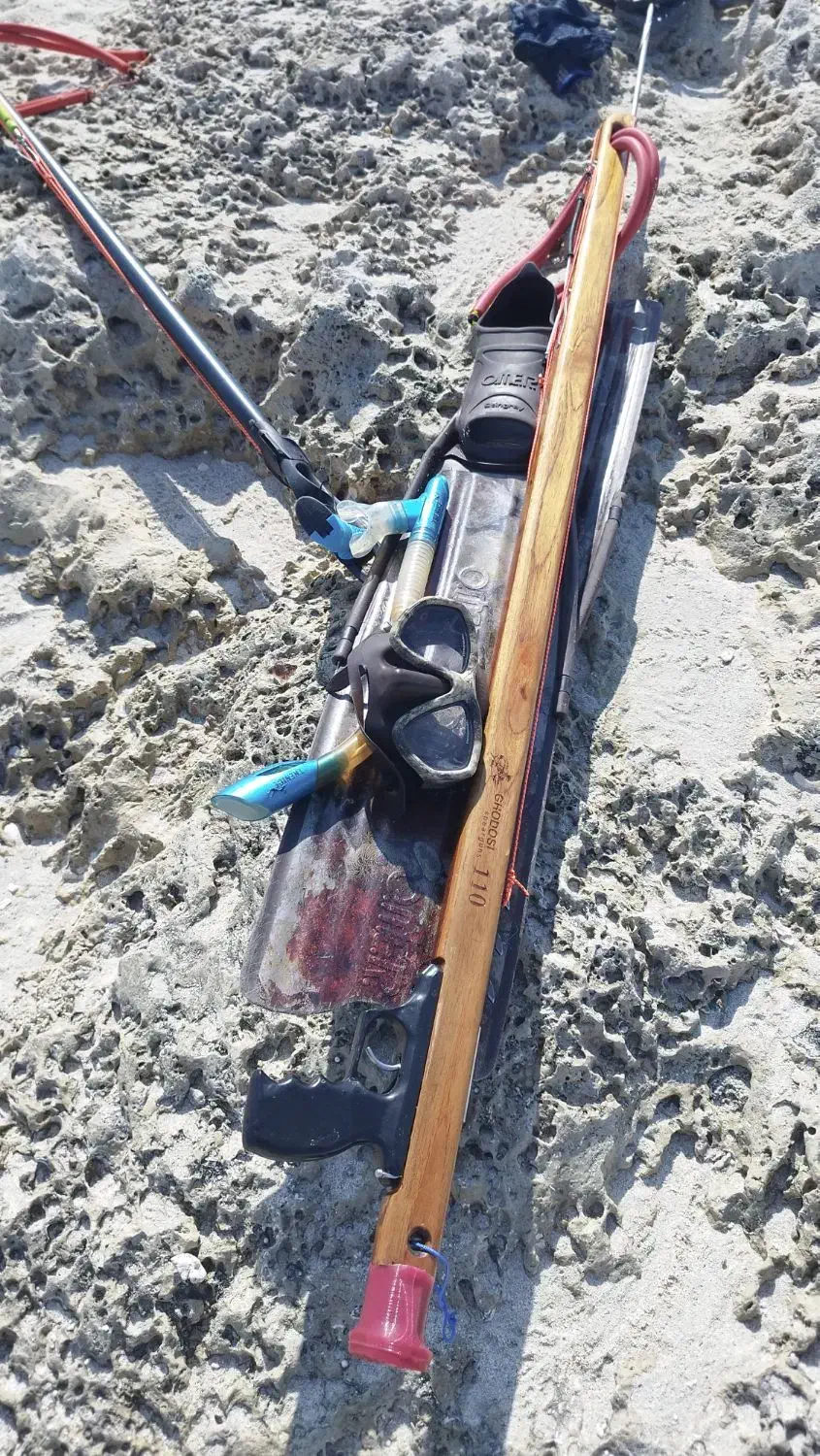 ماهیگیری و غواصی|ماهیگیری|بوشهر, |دیوار