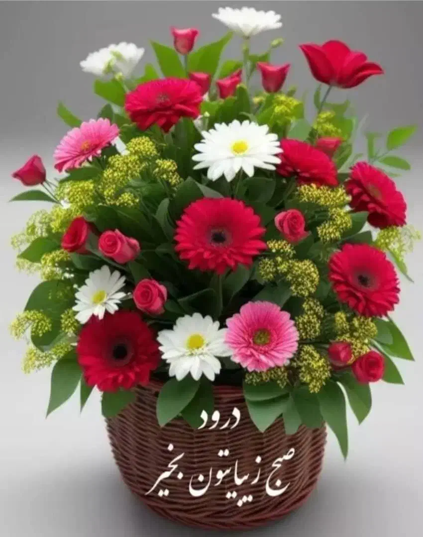 وام خانگی معتبر|فعالیت داوطلبانه|شیراز, ستارخان|دیوار