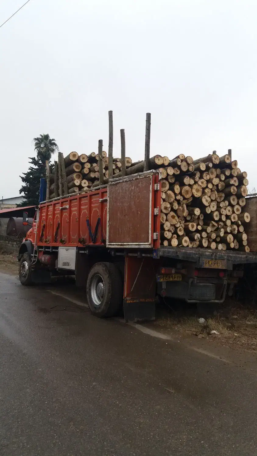 خریدار چوب باغی و جنگلی با بهترین قیمت|خدمات باغبانی و درختکاری|تنکابن, |دیوار