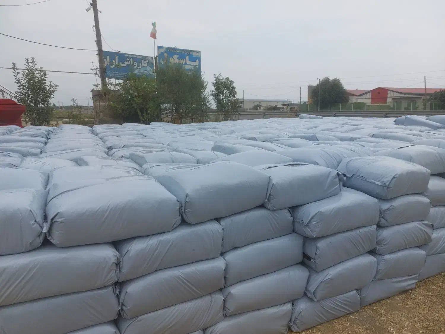 علوفه ذرت بسته بندی|عمده‌فروشی|اسلام آباد, |دیوار