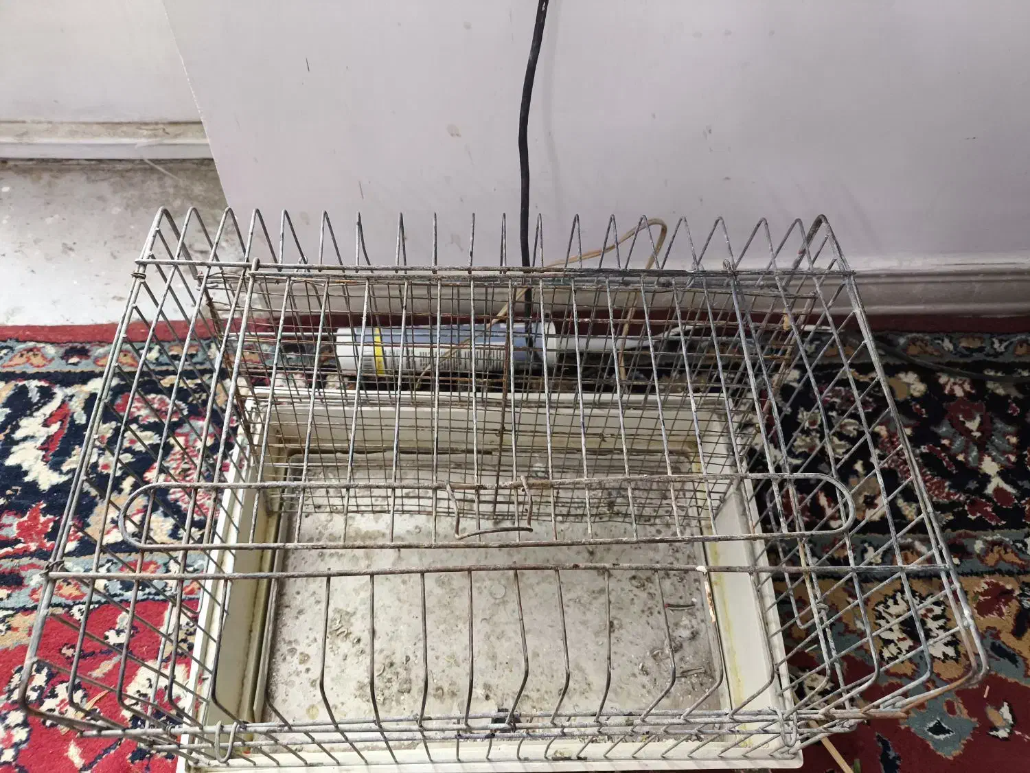 قفس|لوازم جانبی حیوانات|قم, بوستان جوان|دیوار