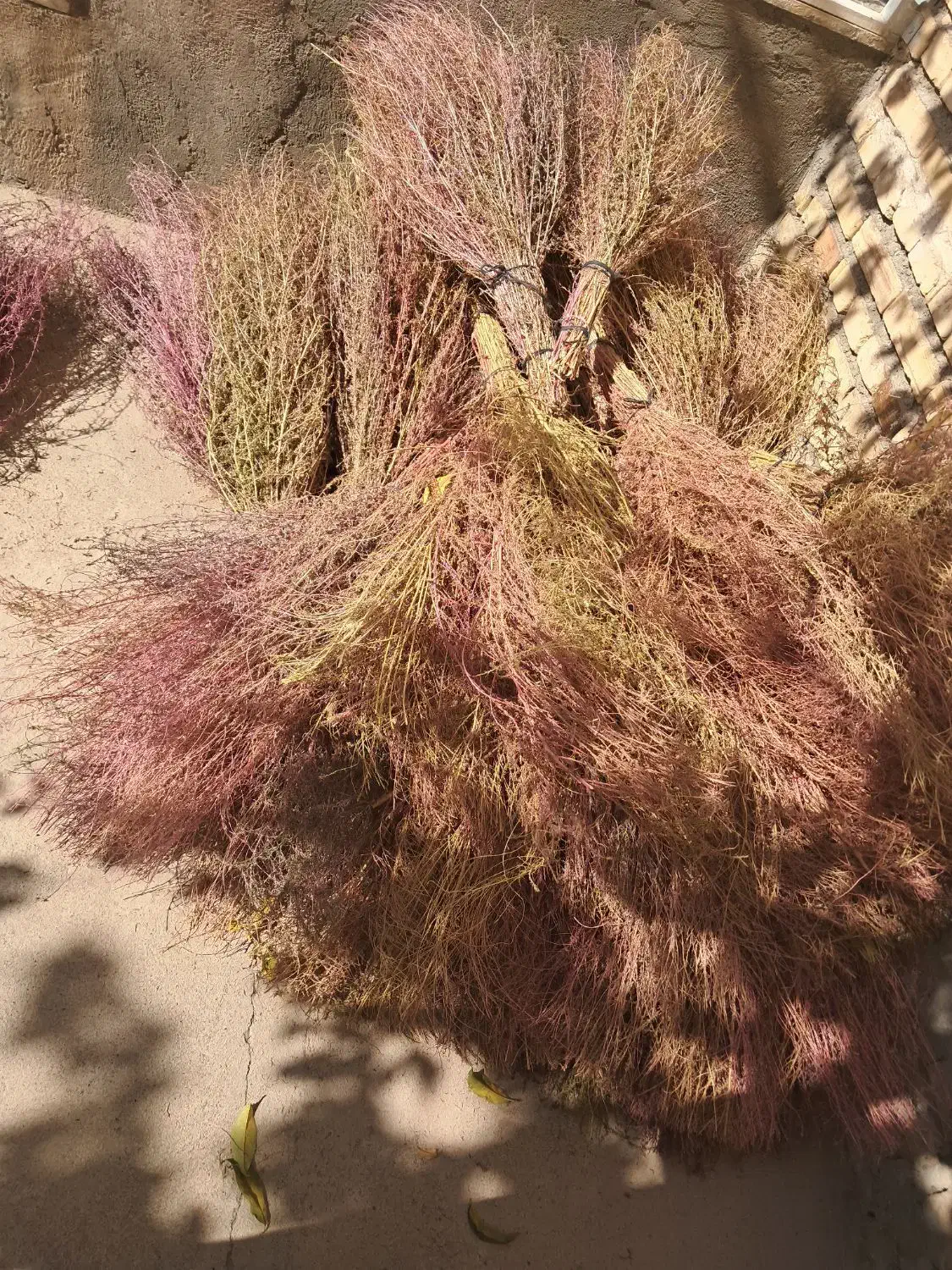 جارو|لوازم نظافت|خوی, |دیوار