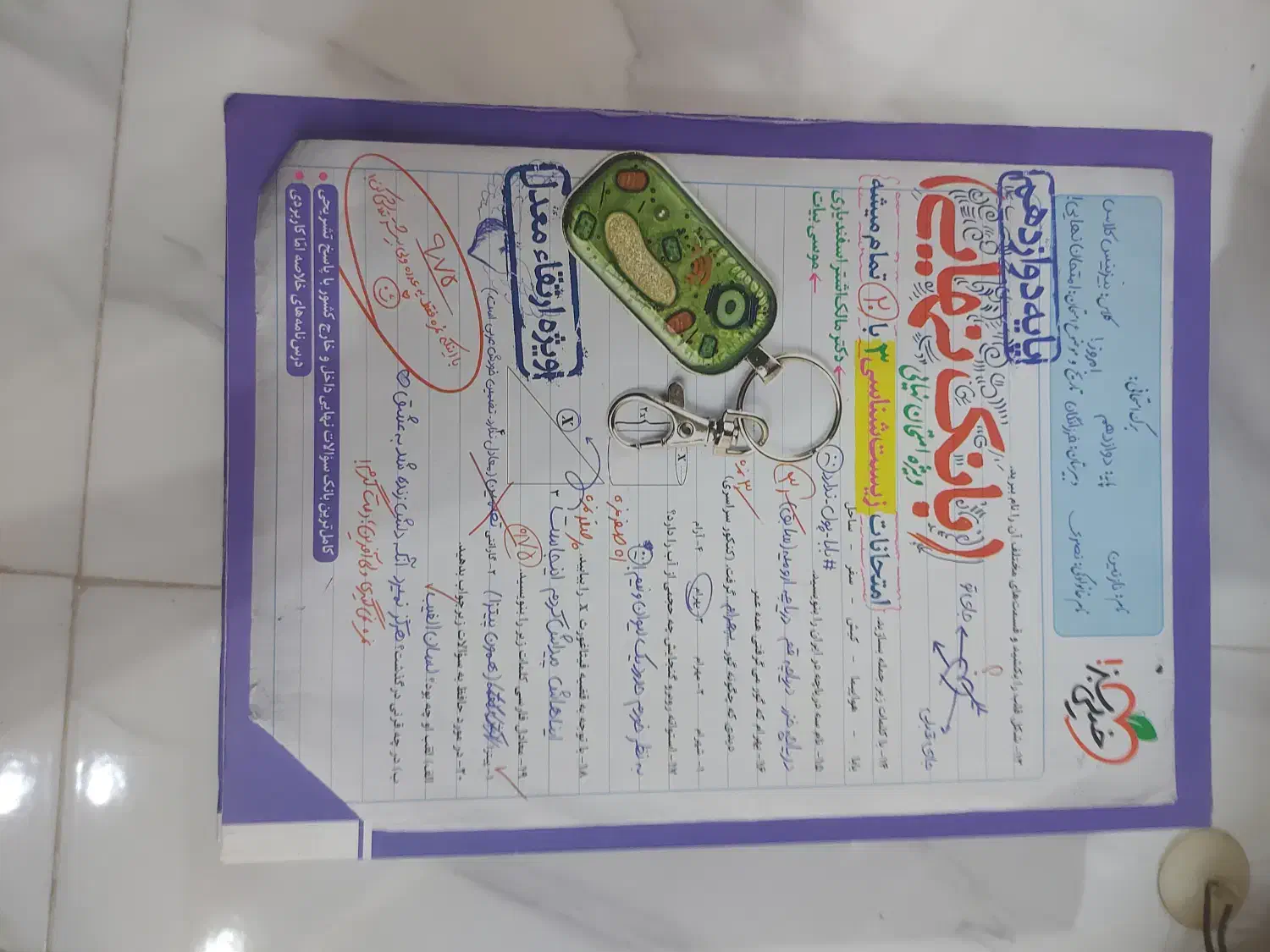 بانک نهایی ۱۲ تجربی|کتاب و مجله آموزشی|رشت, معلم|دیوار
