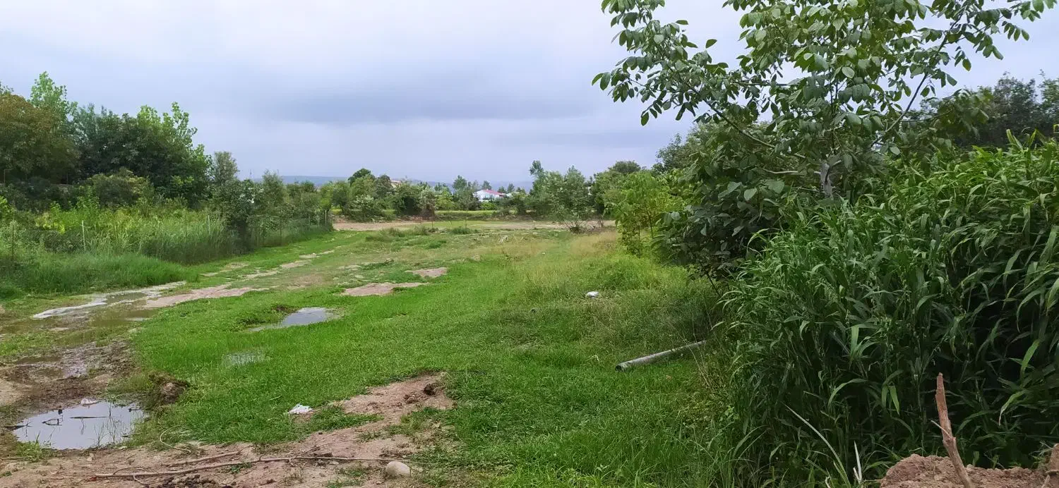 فروش زمین زیر قیمت منطقه|فروش زمین و ملک کلنگی|خرم‌آباد (تنکابن), |دیوار