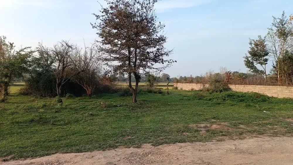 زمین ۷۰۵ متری درگیلان|فروش زمین و ملک کلنگی|ماکلوان, |دیوار