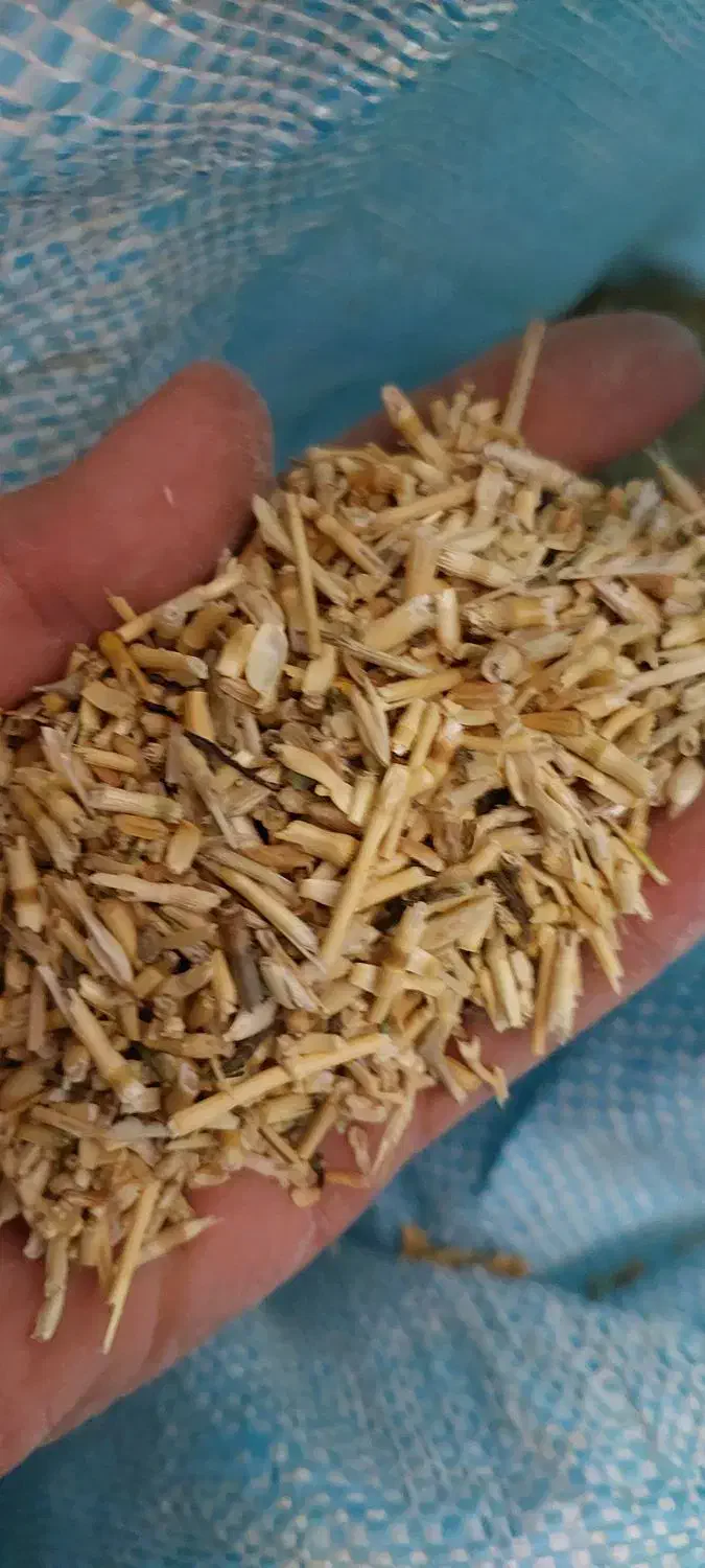 خوراک دام وطیور.و..|لوازم جانبی حیوانات|سیرجان, |دیوار