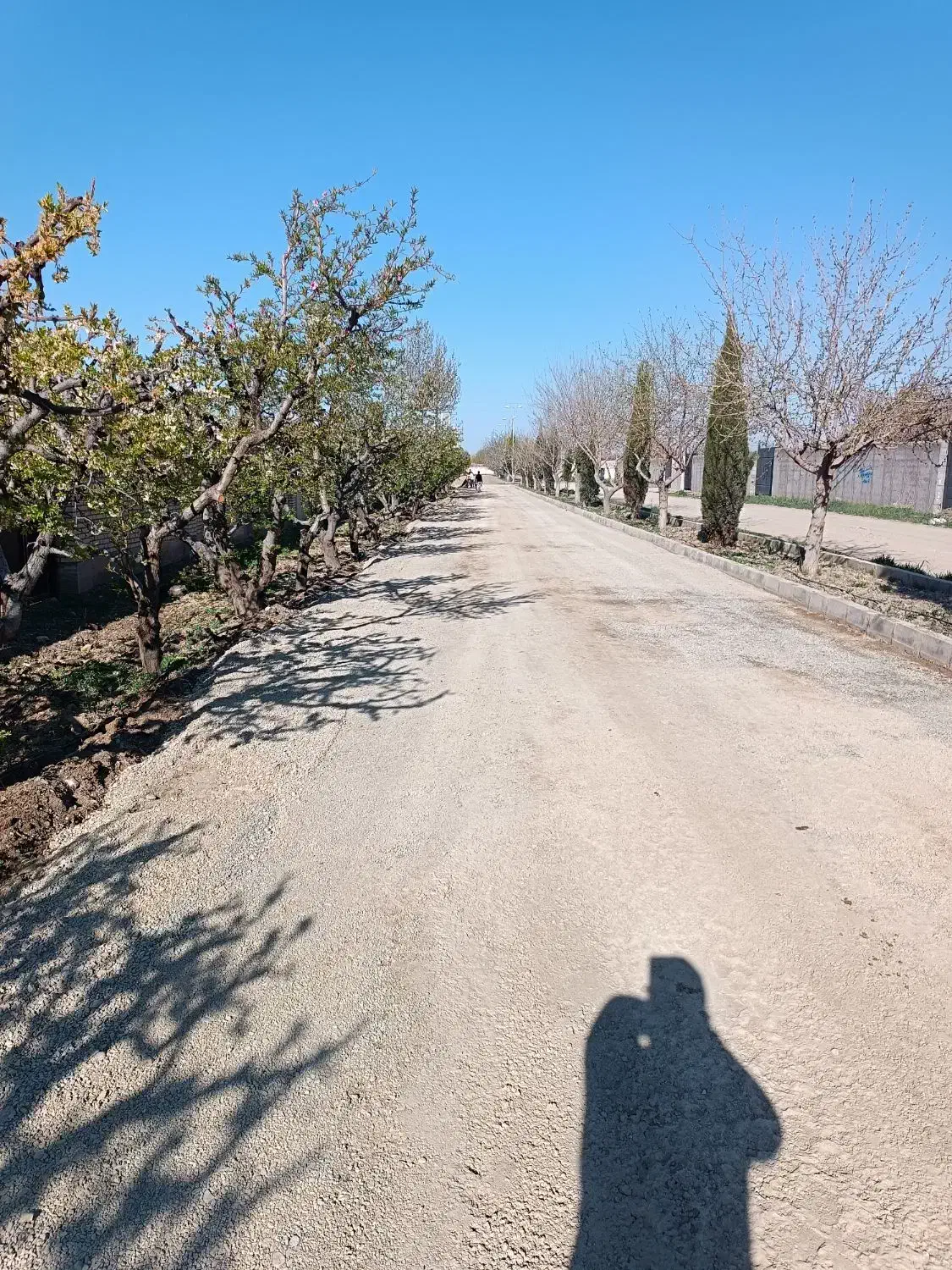 پیمانکاری آسفالت تراشه ایزوگام و قیرگونی|خدمات پیشه و مهارت|هشتگرد, تهران دشت|دیوار