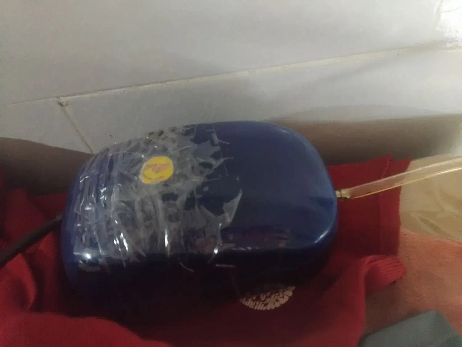 ماهی اکواریوم|ماهی|تبریز, |دیوار