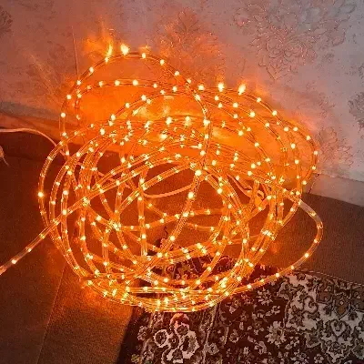 ریسه شلنگی برقی|لامپ و چراغ|تبریز, |دیوار