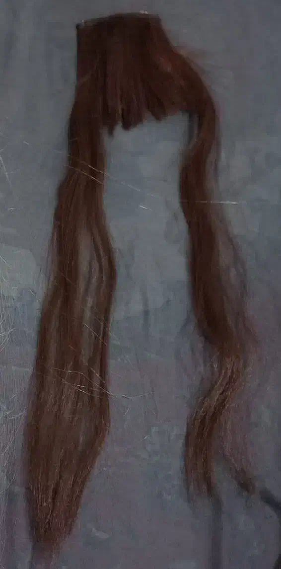 موی چتری|آرایشی، بهداشتی، درمانی|فولادشهر, بوستان خلیج فارس|دیوار