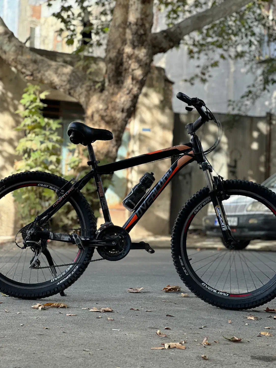 26 اورلرد درحد|دوچرخه، اسکیت، اسکوتر|گنبد کاووس, |دیوار