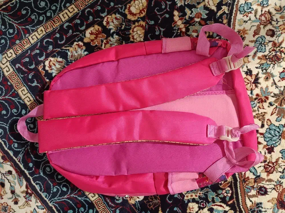 دو عدد کیف سالم پسرانه و دخترانه|کیف، کفش، کمربند|هشتگرد, شهرک بعثت|دیوار