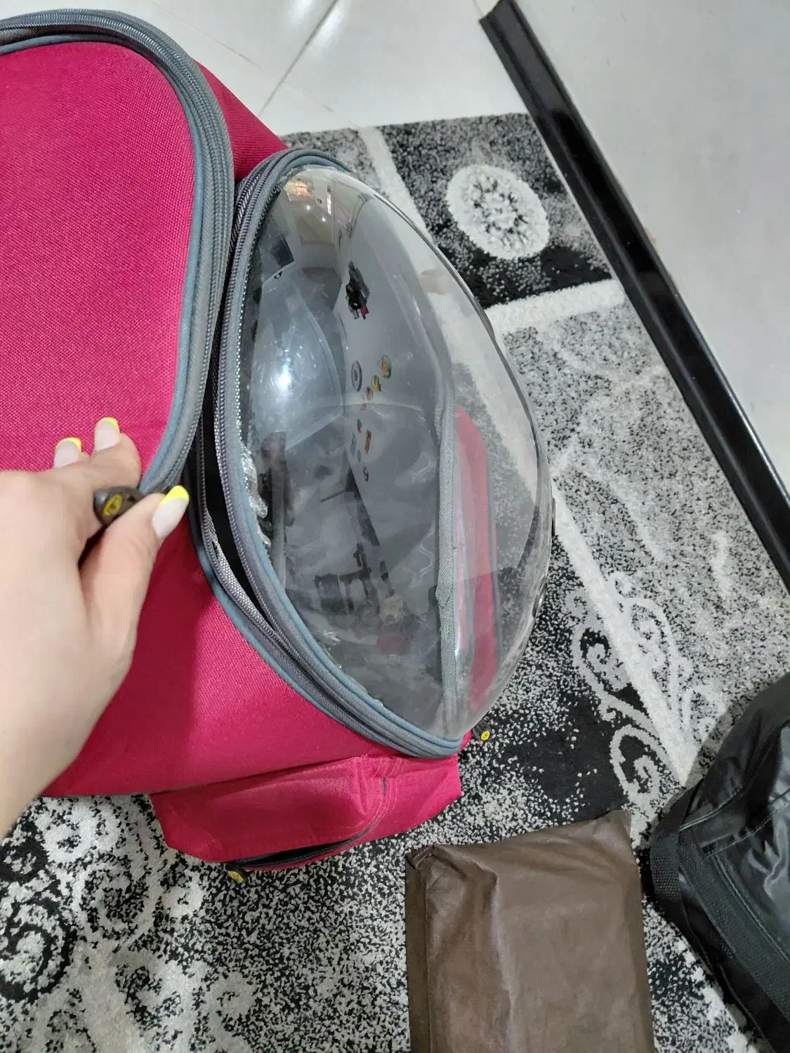 لوازم پت|لوازم جانبی حیوانات|فردیس, شهرک ناز|دیوار