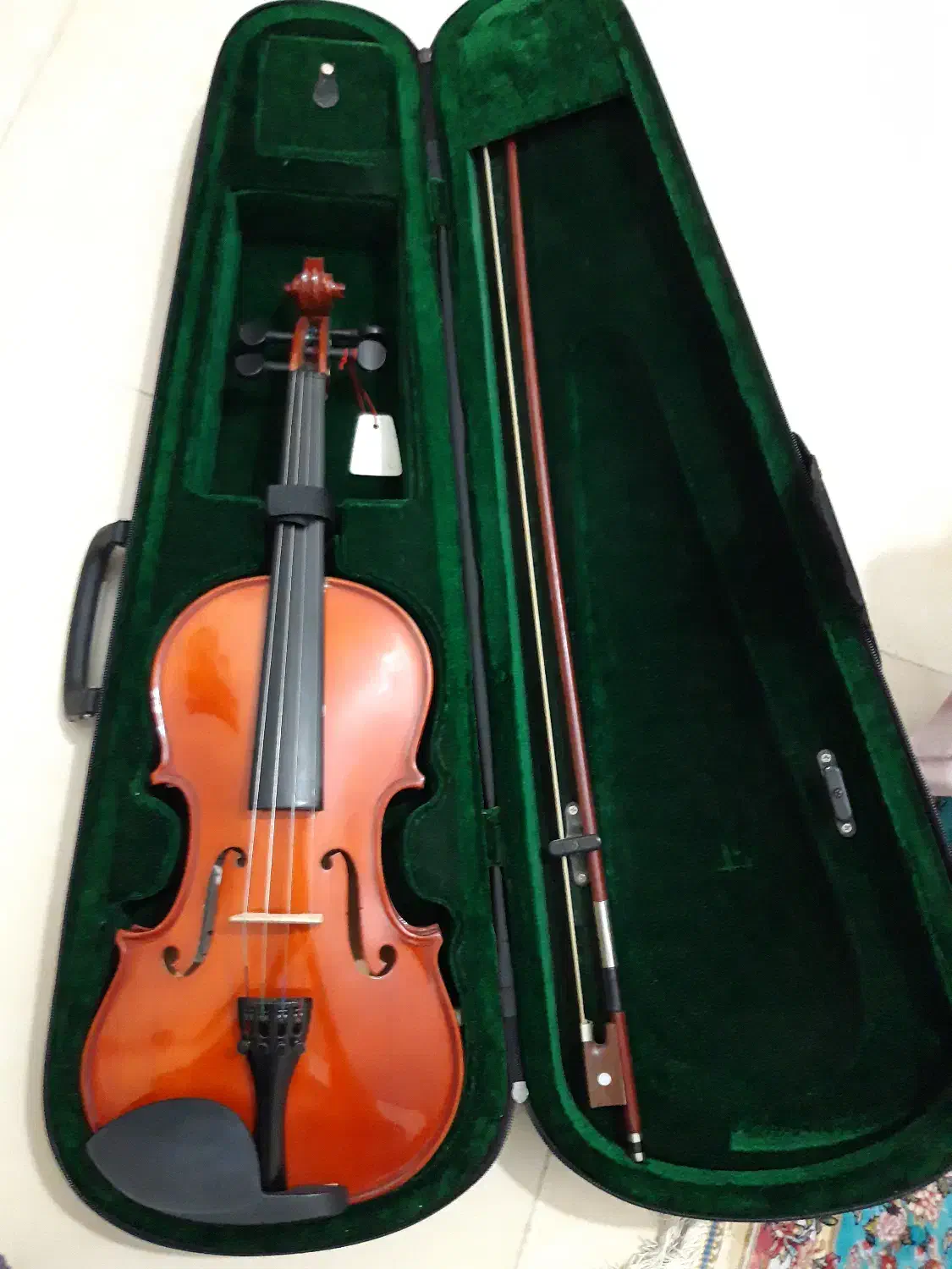 ویالون|ویولن|ورامین, ورامین|دیوار