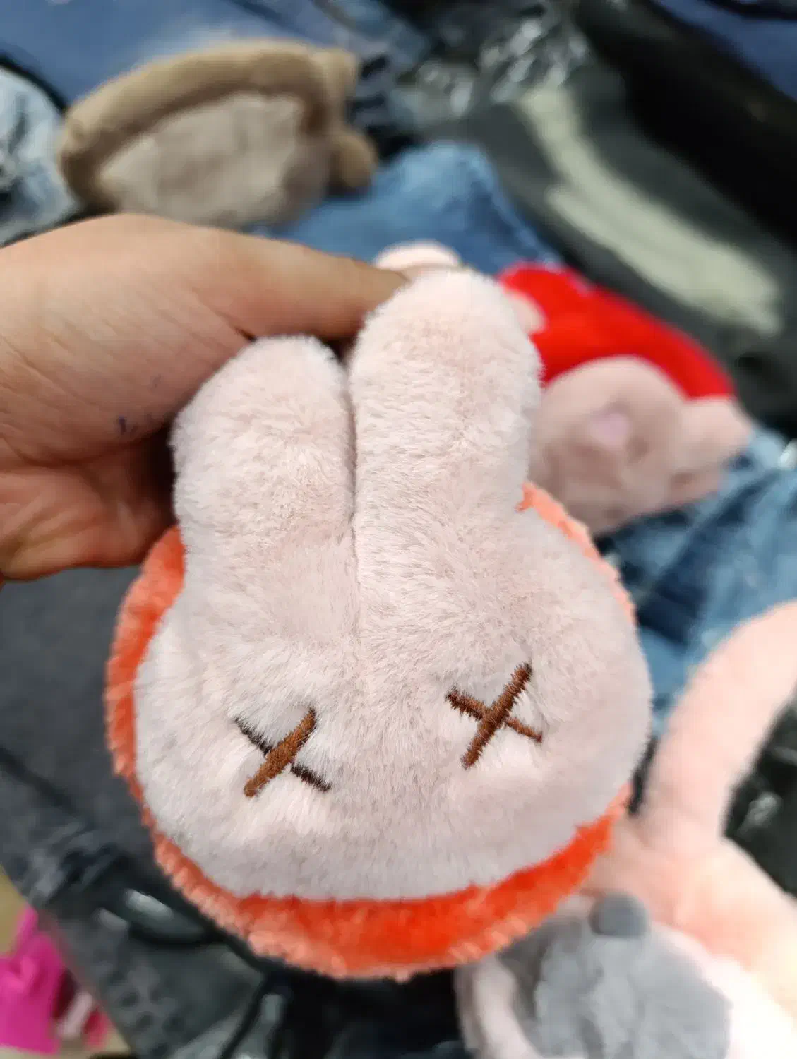 گوش بند|لباس|بیرجند, |دیوار