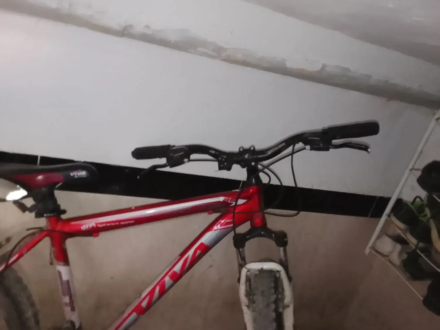 دوچرخه ویوا اصلی|دوچرخه، اسکیت، اسکوتر|مریوان, |دیوار