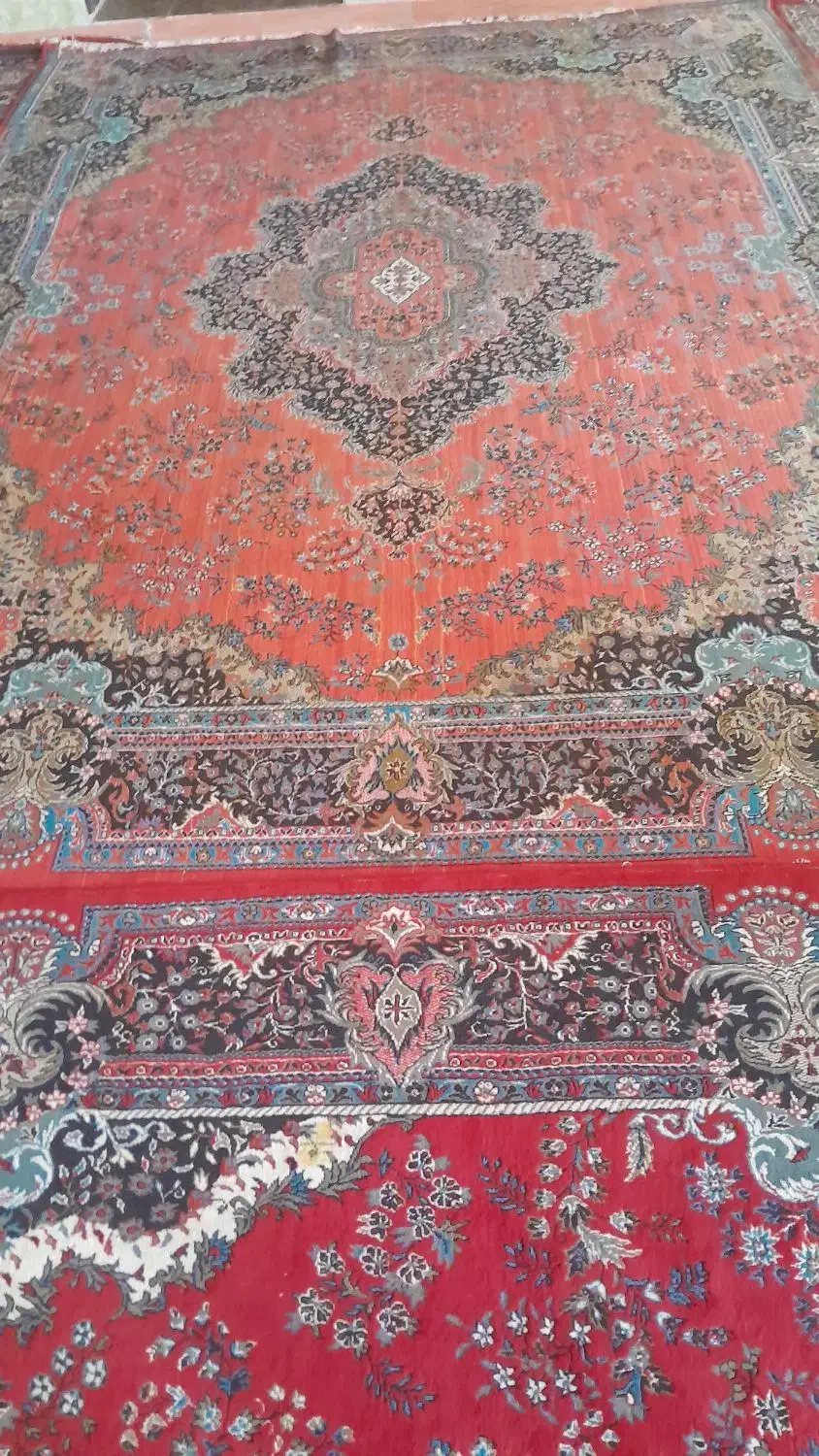 فرش ۱۲متری|فرش|ایلام, |دیوار