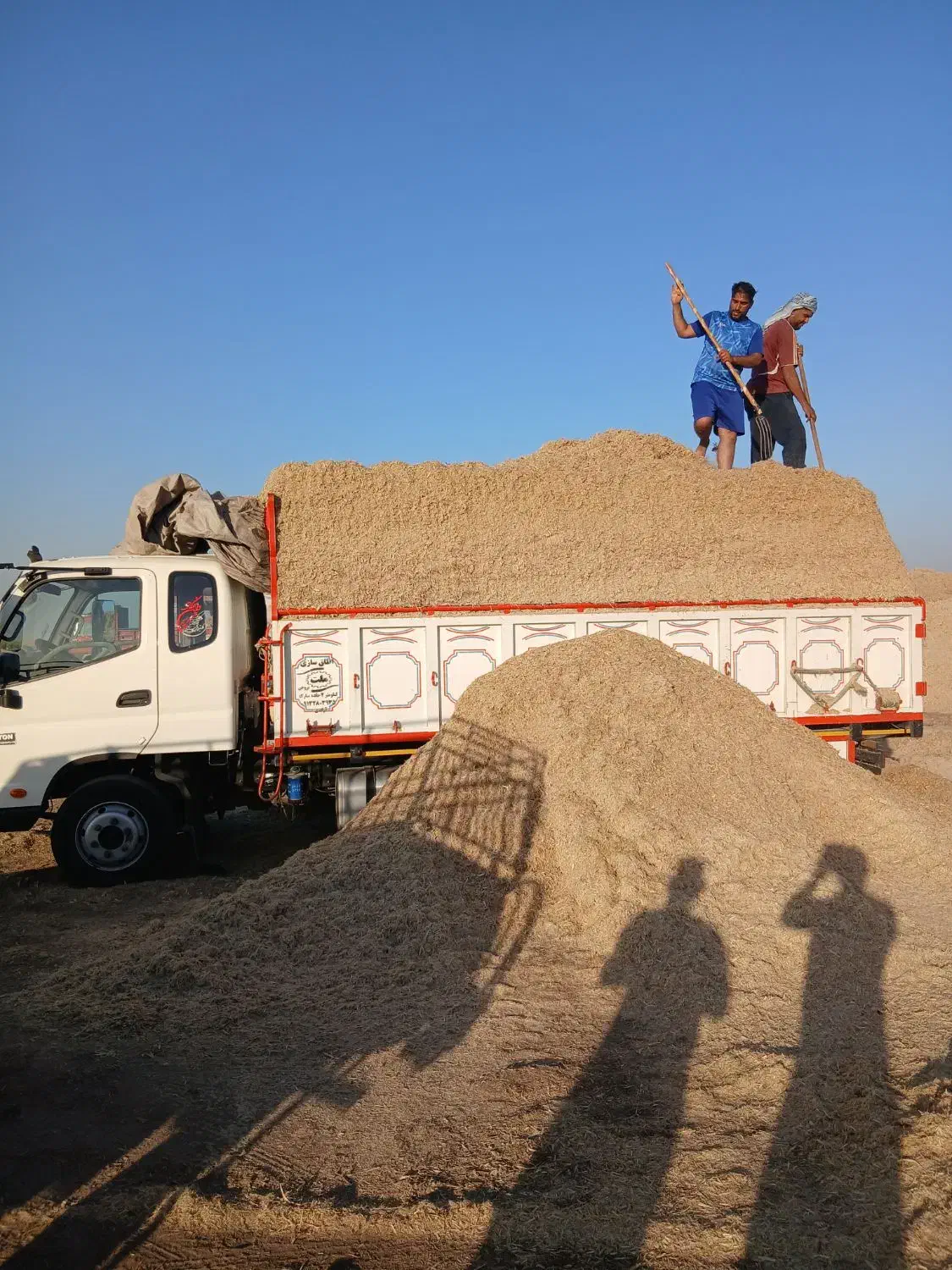 فروشی|حیوانات مزرعه|زارچ, |دیوار