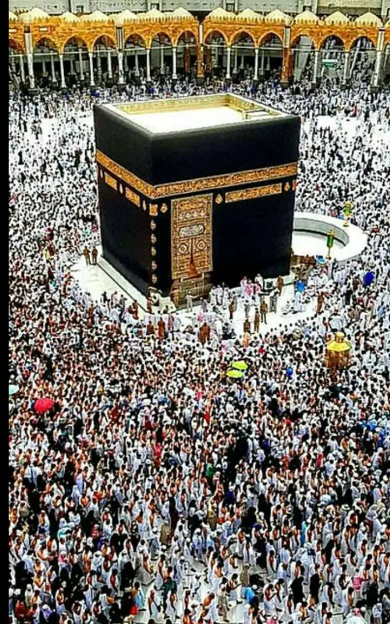 فیش حج واجب مهر ماه 85 آماده اعزام|تور و چارتر|اصفهان, طامه|دیوار