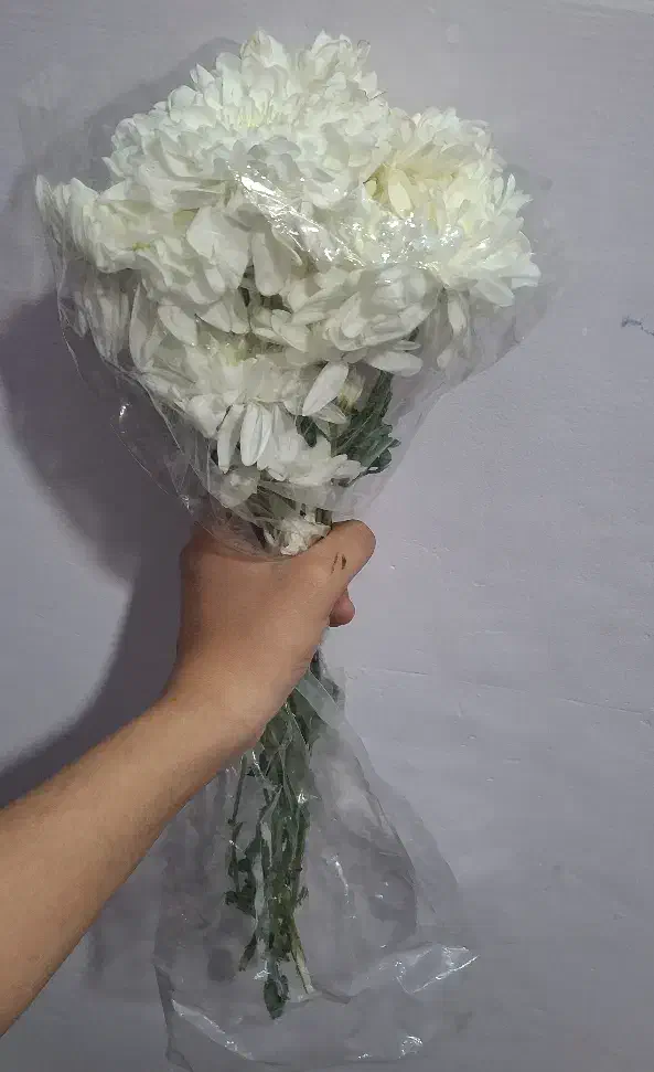دسته گل طبیعی|گل و گیاه طبیعی|مشهد, مشکینی (شهرک غرب)|دیوار