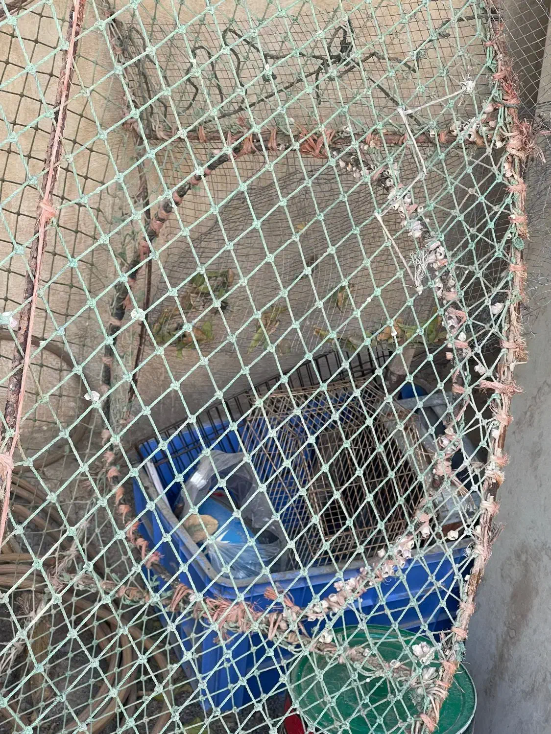 قفس|لوازم جانبی حیوانات|بوشهر, |دیوار