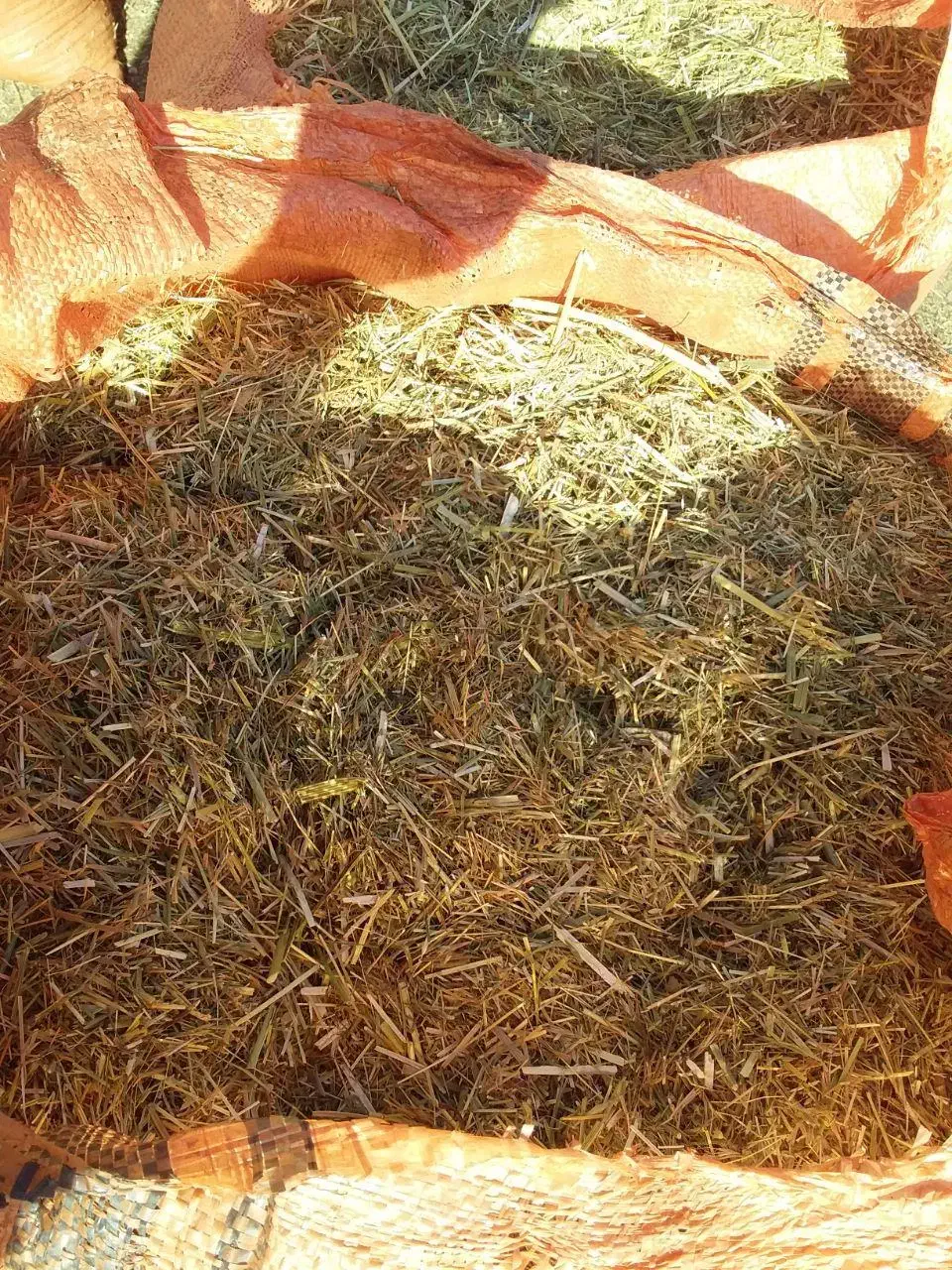 یونجه مرگور|لوازم جانبی حیوانات|ارومیه, |دیوار