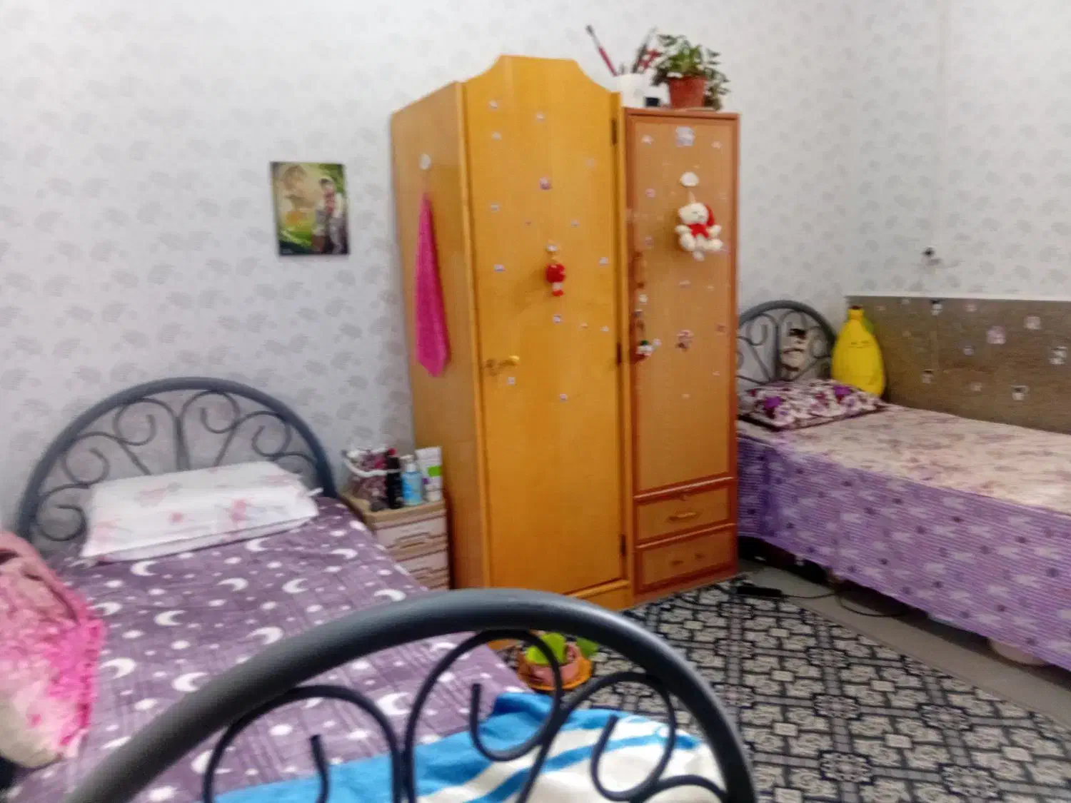 اجاره اتاق دوتخته (خوابگاه دخترانه)|اجارهٔ کوتاهمدت آپارتمان و سوئیت|شیراز, وصال|دیوار