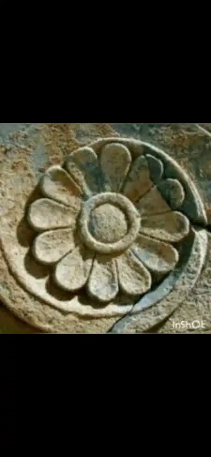 سیم کارت همراه اول رند ماشینی|سیم‌کارت|شیراز, هفت تنان|دیوار