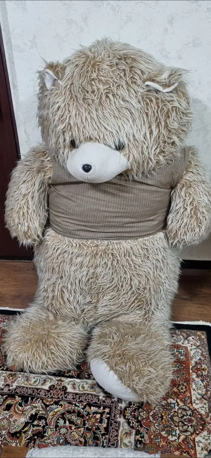 خرس بزرگ|اسباببازی|اهواز, سپیدار|دیوار