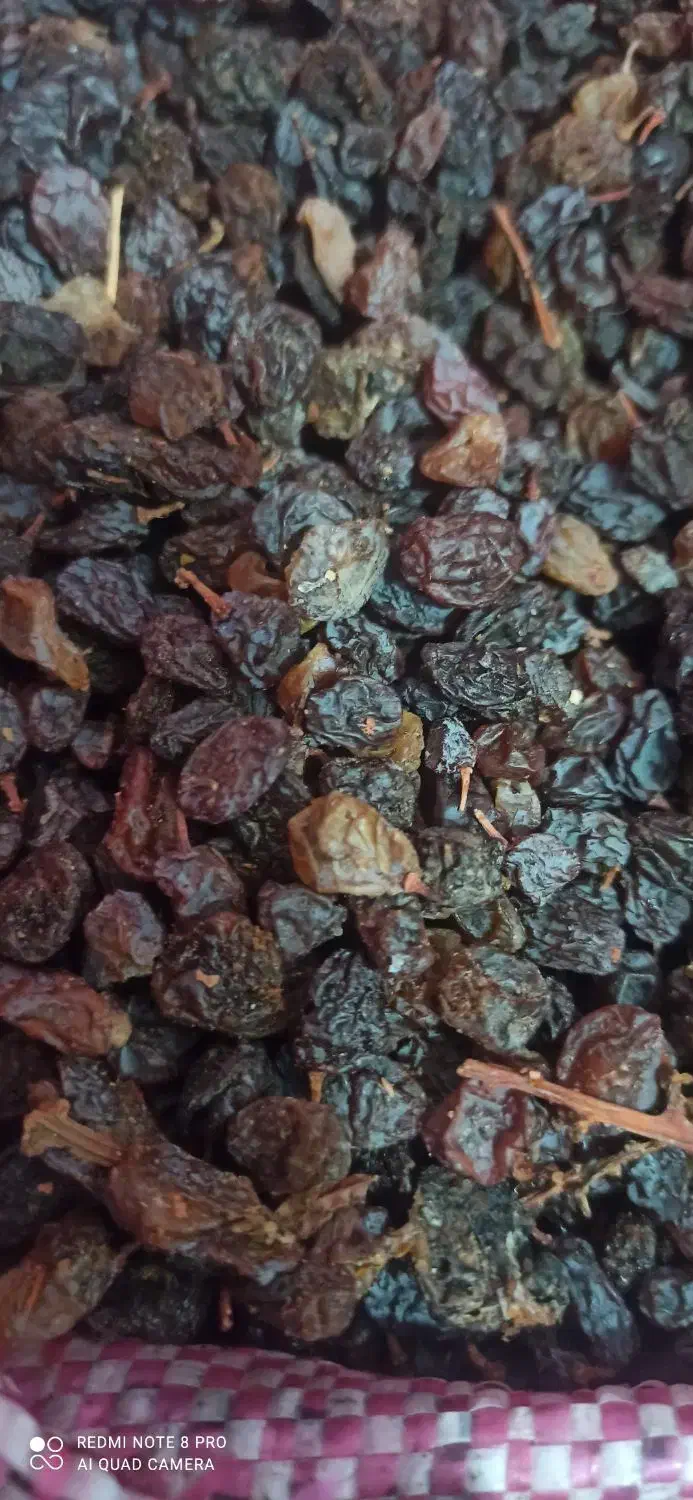 کشمش درجه دو|خوردنی و آشامیدنی|مراغه, |دیوار