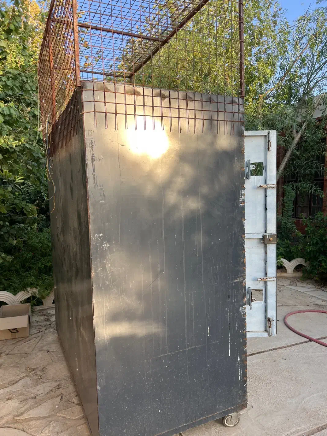 گنجه کفتری|پرنده|شیراز, گویم|دیوار