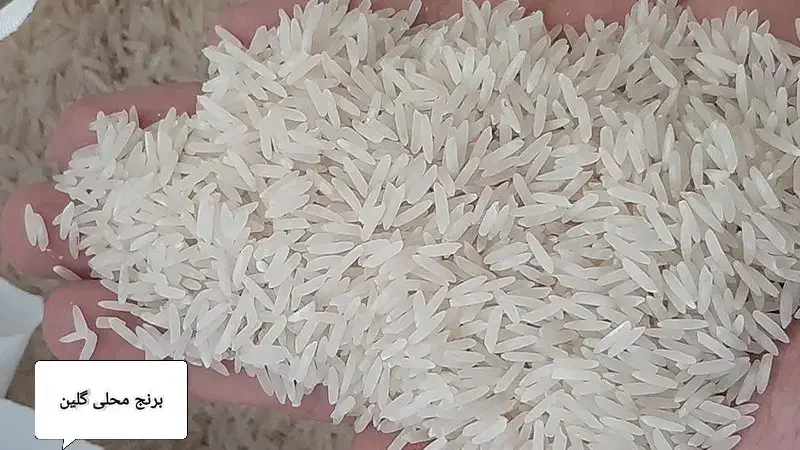 برنج محلی گلین|خوردنی و آشامیدنی|گیلان غرب, |دیوار