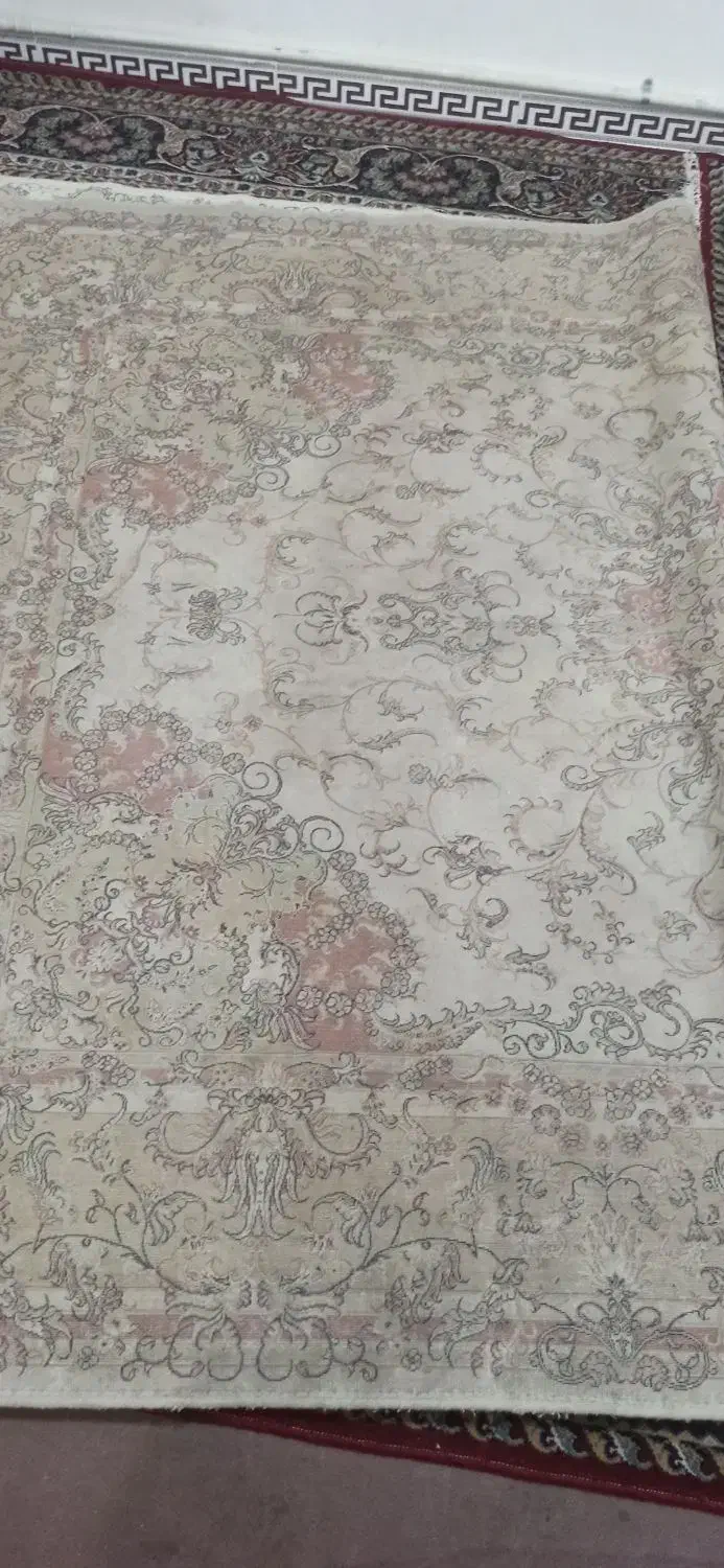 فرش|فرش|هشتگرد, سیف آباد|دیوار