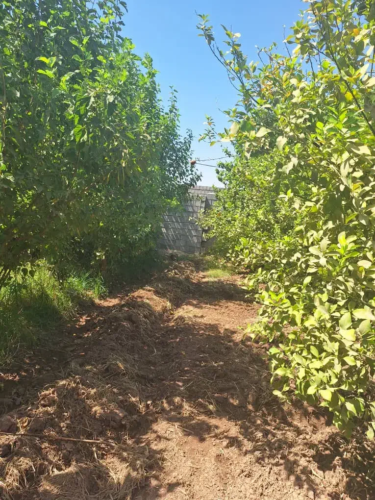 باغچه برق واب تصفیه/بنجعفر|فروش زمین و ملک کلنگی|دزفول, |دیوار