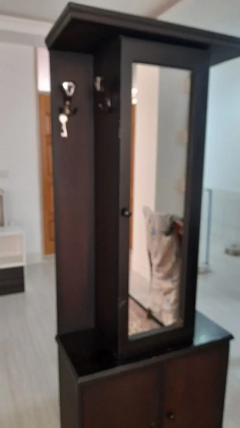 کمد کفش و لباس|جاکفشی، کمد، دراور|بروجن, |دیوار