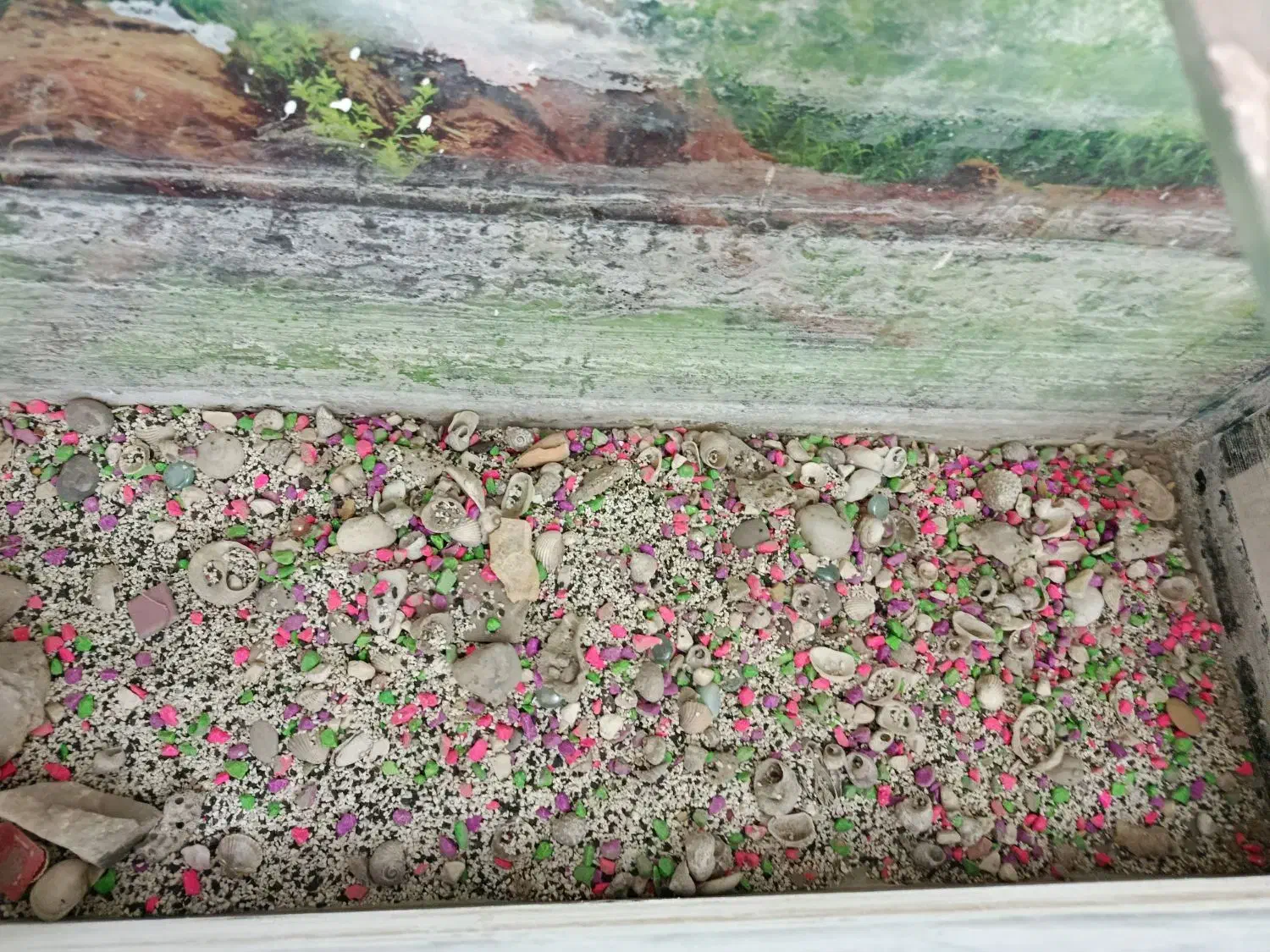 آکواریوم|ماهی|مشهد, یاس|دیوار