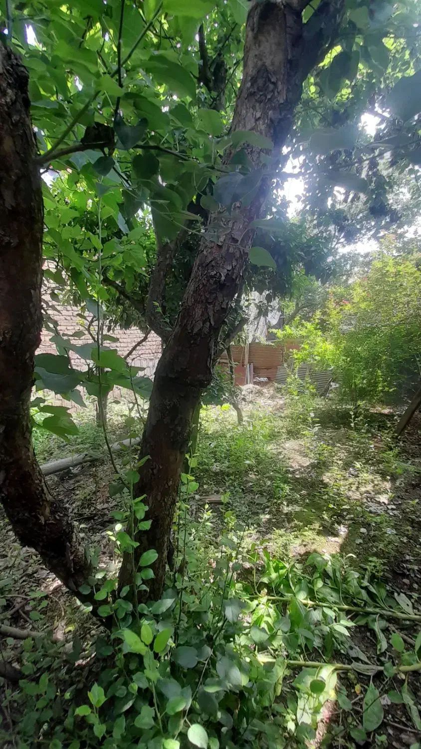 فروش ویلای ۲۰۶ متری تک برگ سند|فروش خانه و ویلا|رشت, پسیخان|دیوار