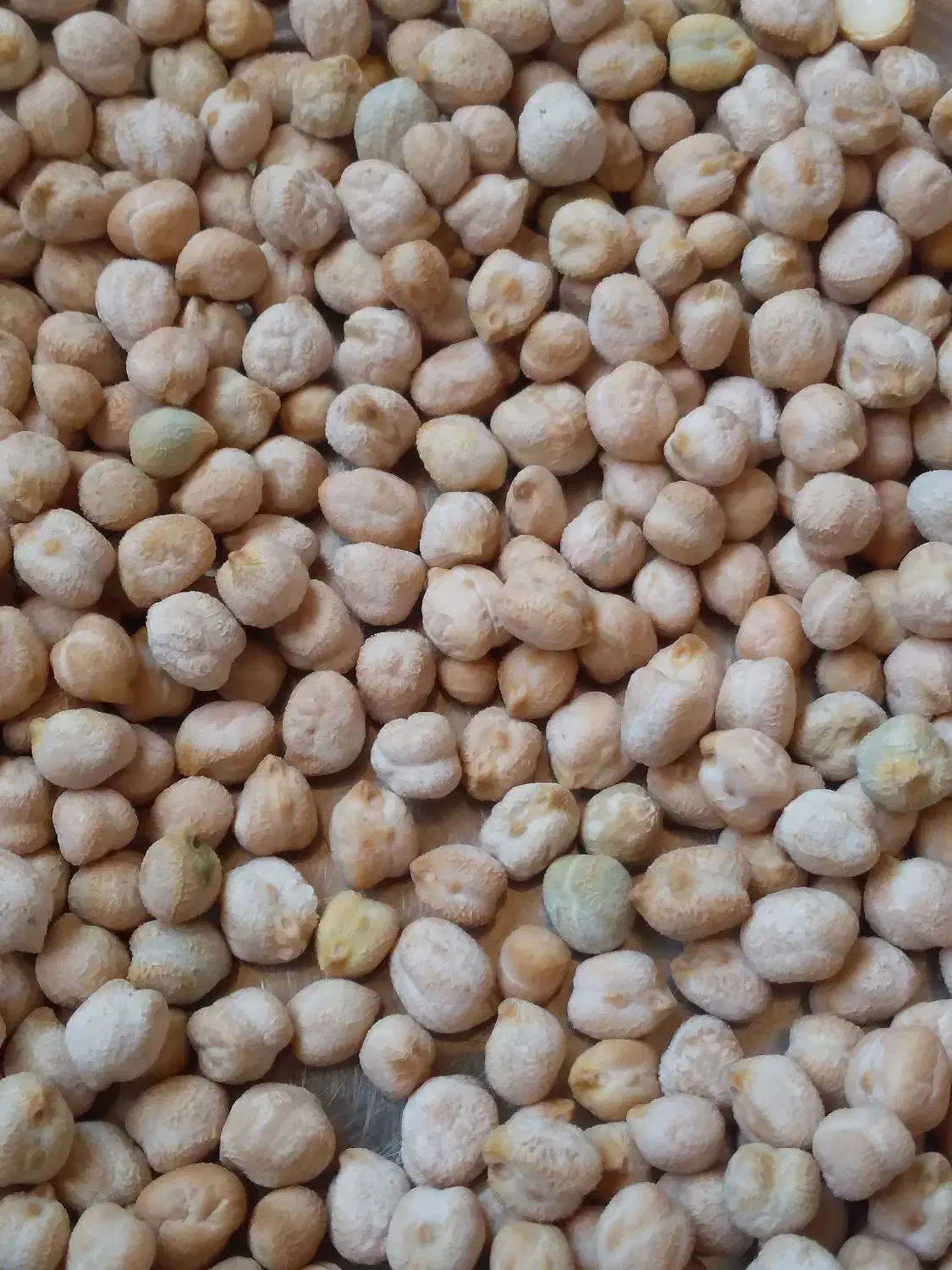 ۱۷۰۰۰۰۰|حراج|بروجرد, |دیوار