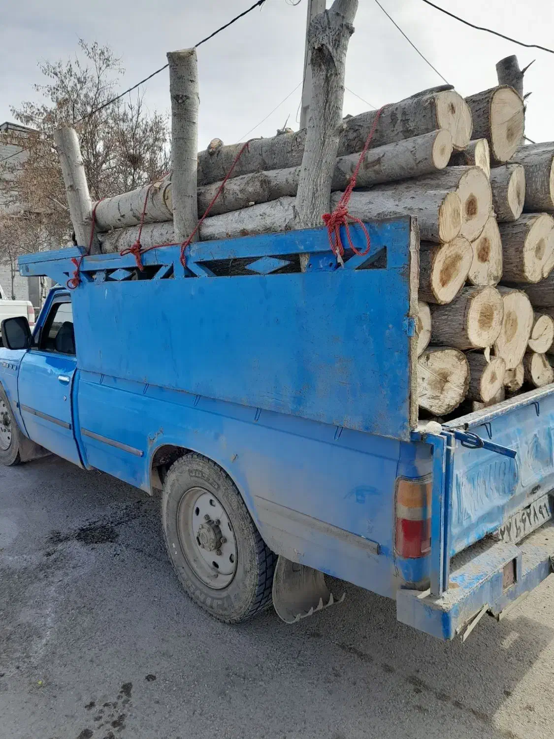 خریدار انواع چوب الات|خدمات باغبانی و درختکاری|گرمی, |دیوار