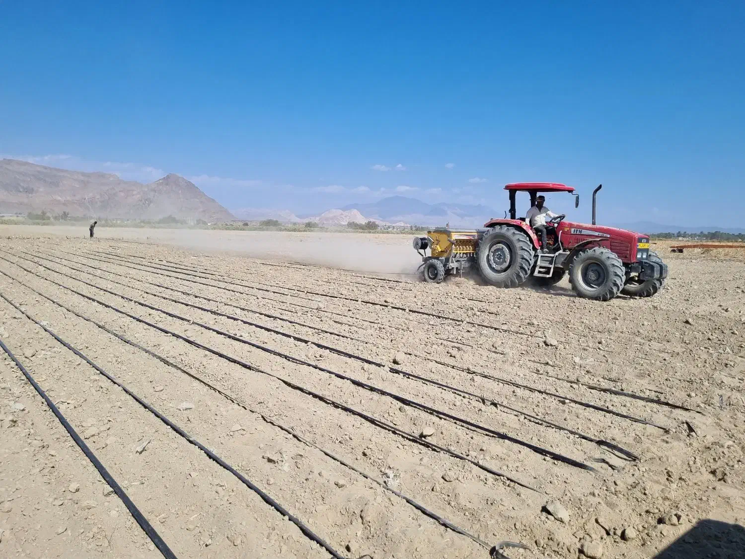 تراکتور ۴۱۲۰ مدل ۱۴۰۱|خودرو سنگین|ارزوئیه, |دیوار