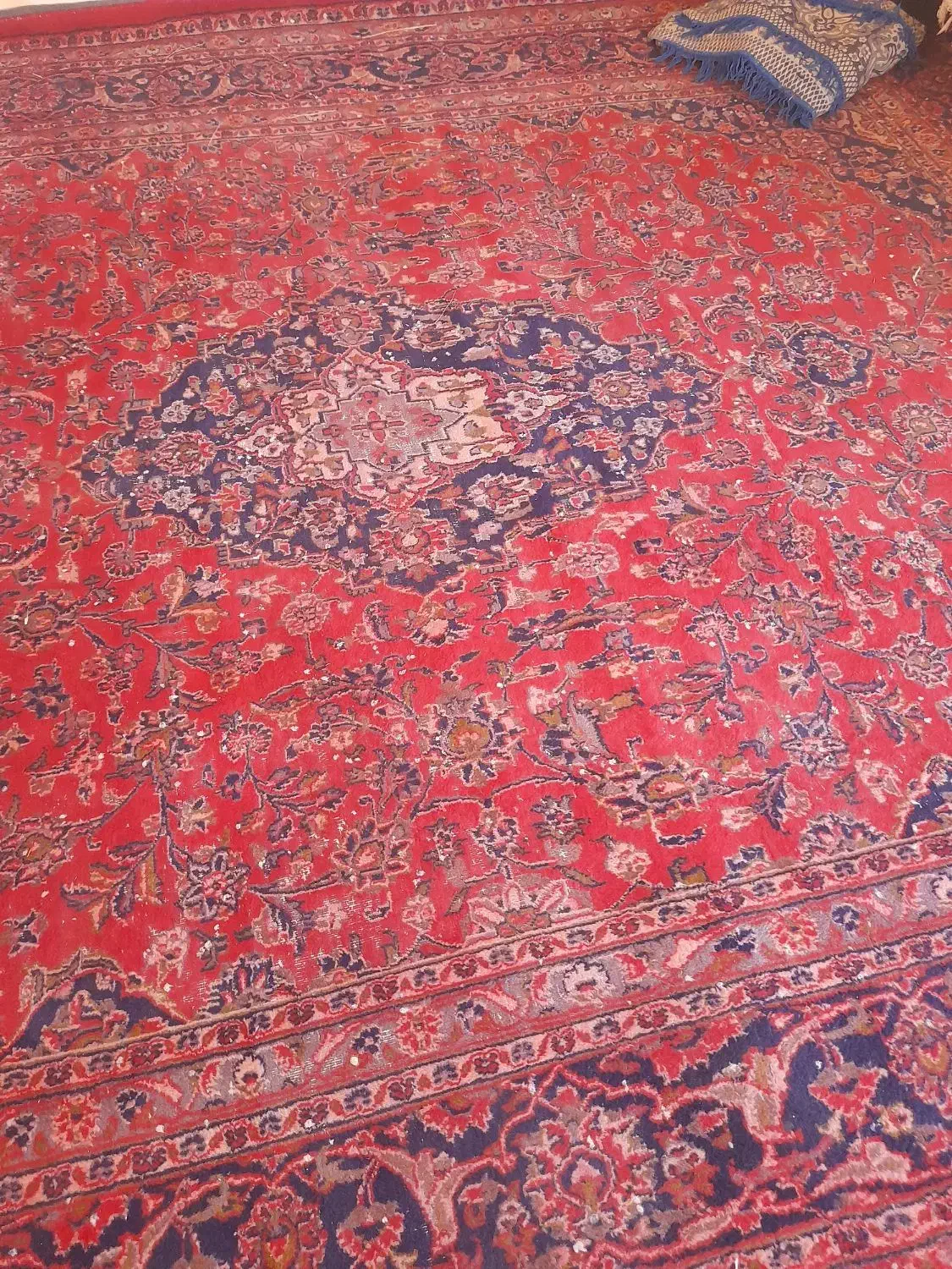 فرش|فرش|مراغه, |دیوار