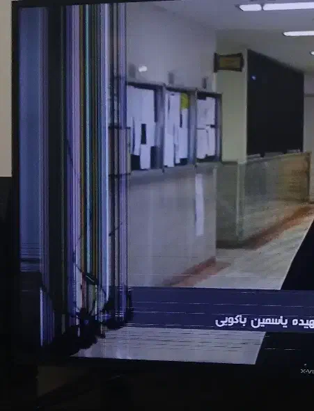 تلوزیون ایکس ویژن ۴۹ اینچ|تلویزیون و پروژکتور|پاکدشت, پاکدشت (مامازند)|دیوار