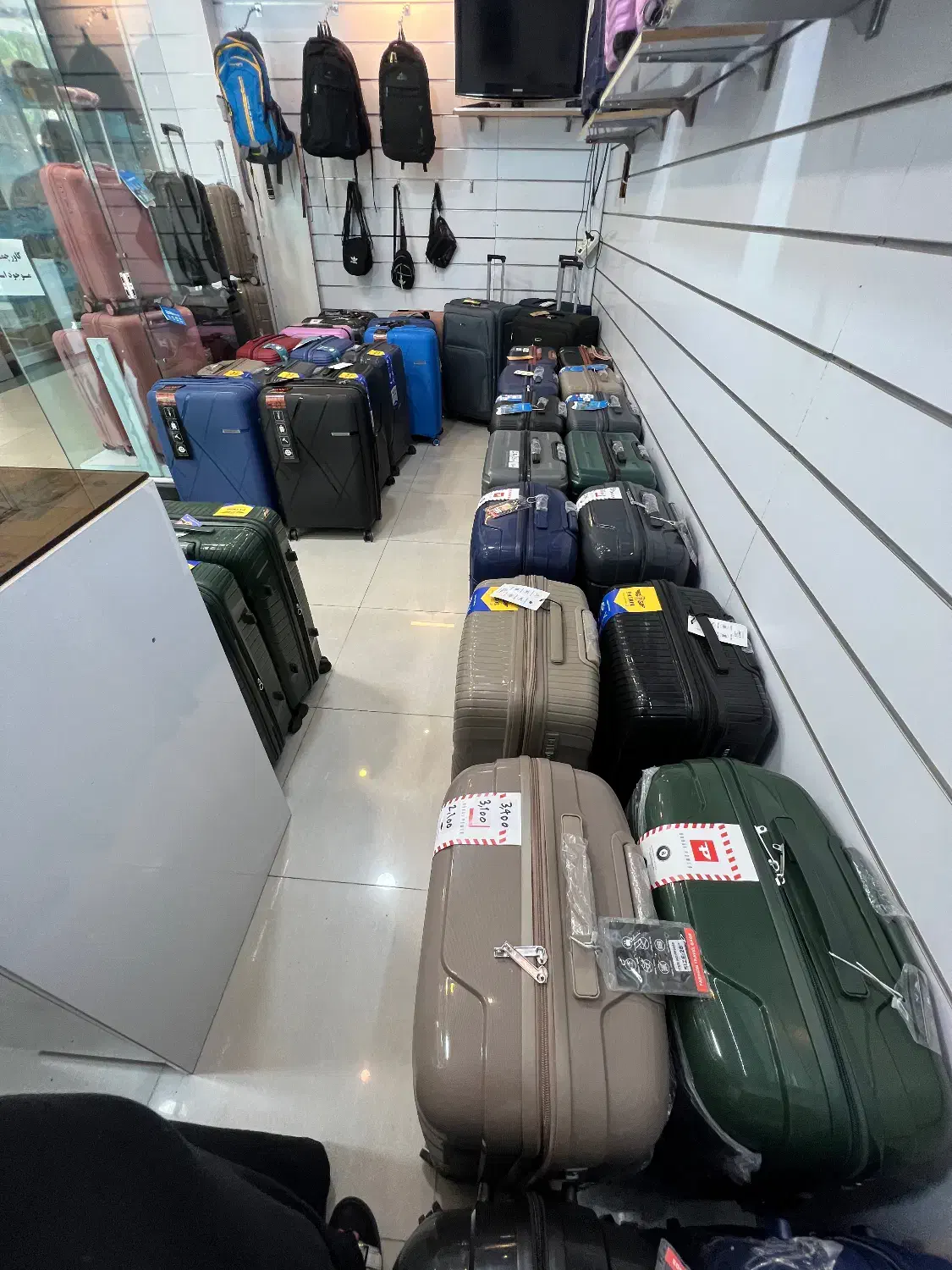 چمدان|کیف، کفش، کمربند|کیش, |دیوار