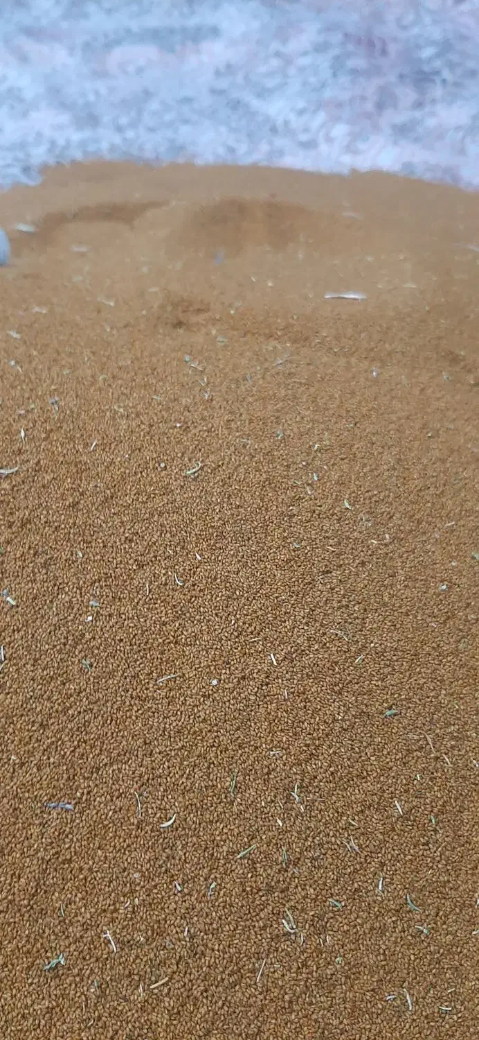 خاکشیر|خوردنی و آشامیدنی|شیراز, بریجستون|دیوار