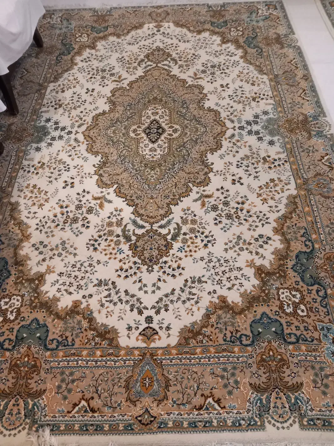 فرش ۶ متری|فرش|ساری, |دیوار